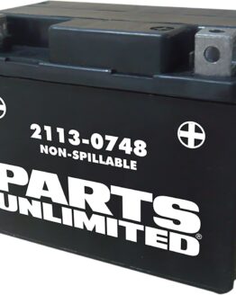 AGM Maintenance Free Battery 50CCA 12V 3Ah Factory Activated