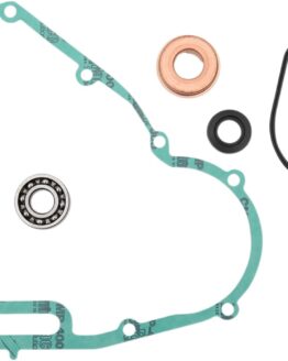 Water Pump Rebuild Kit
