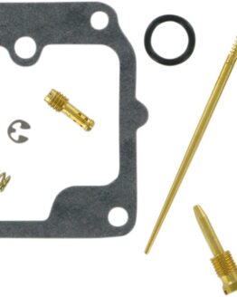 Carburetor Repair Kit