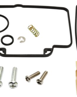 Carburetor Repair Kit