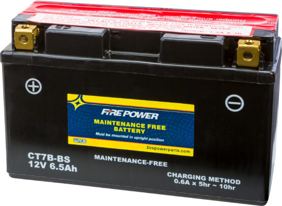 Maintenance Free Sealed Battery