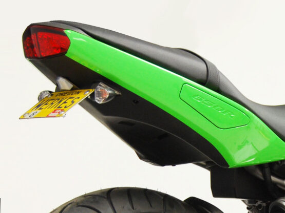 Fender Eliminator w/ Turn Signals