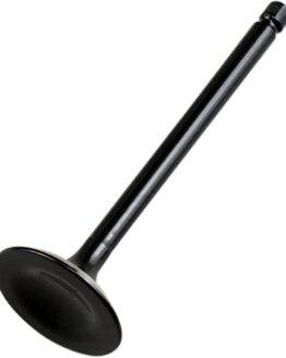 Hot Cams Stainless Steel Exhaust Valve