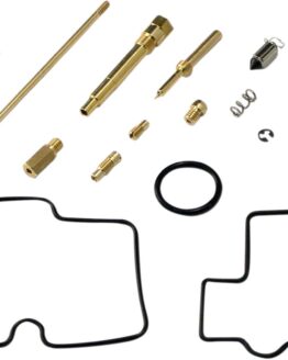 Carburetor Repair Kit