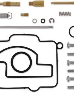 Carburetor Repair Kit