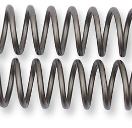 Fork Springs 0.48KG