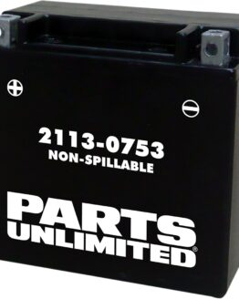 AGM Maintenance Free Battery 200CCA 12V 12Ah Factory Activated