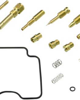 Carburetor Repair Kit