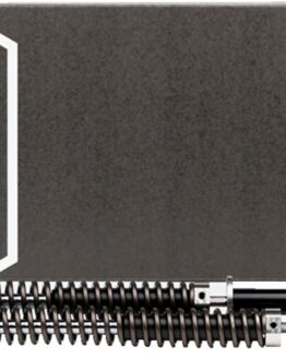 Legend Suspension AXEO Comfort Front Suspension System For FL Touring