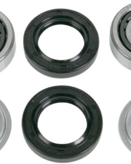 Swingarm Bearing Kit