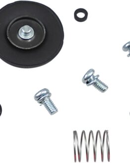 Accelerator Pump Rebuild Kit