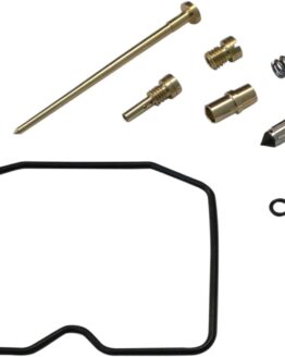 Carburetor Repair Kit