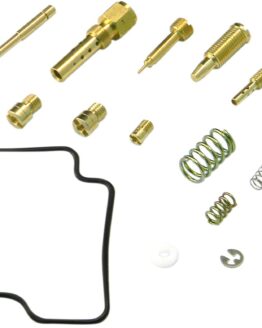 Carburetor Repair Kit