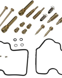 Carburetor Repair Kit
