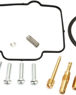 Carburetor Repair Kit