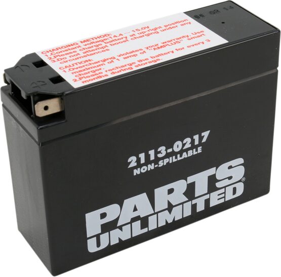 Factory Activated AGM Sealed Battery - Image 3