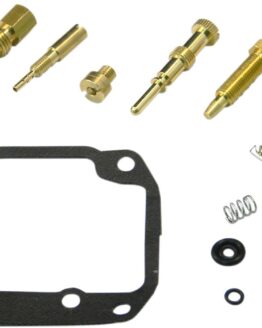 Carburetor Repair Kit