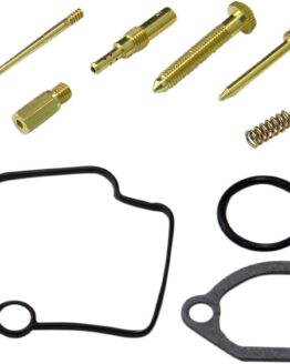 Carburetor Repair Kit