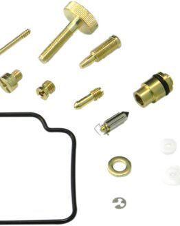 Carburetor Repair Kit