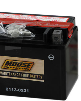 AGM Maintenance-Free Battery