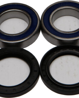 Wheel Bearing & Seal Kit