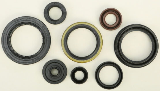 Oil Seal Kit