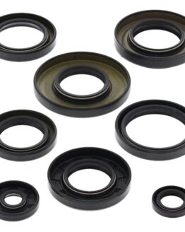 Vertex Engine Oil Seal Kit 822253