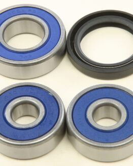 Wheel Bearing & Seal Kit