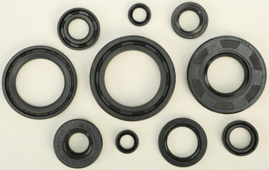 Oil Seal Kit