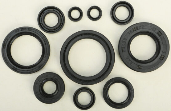 Oil Seal Kit