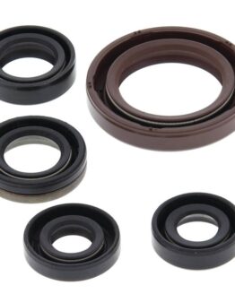 Vertex Oil Seal Kit Fits 06-09 Suzuki LT-R450 Quadracer