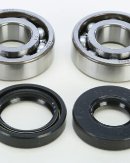 Crankshaft Bearing & Seal Kit