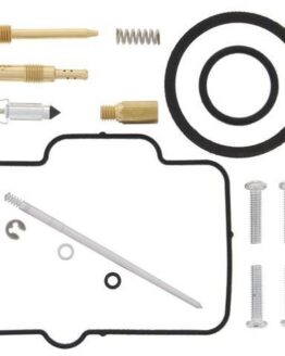 Carburetor Repair Kit