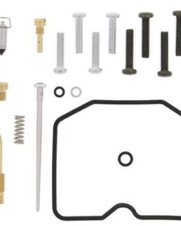 Carburetor Rebuild Kit