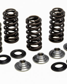 Titanium Racing Valve Spring Kit, 0.395" Lift