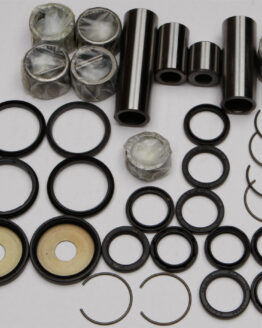 Swing Arm Linkage Bearing & Seal Kit