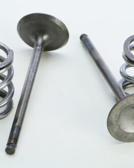 Steel Exhaust Valve/Spring Kit