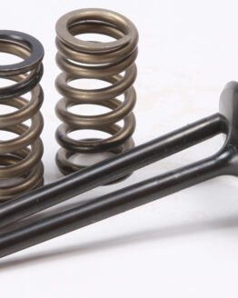 Steel Intake Valve/Spring Kit