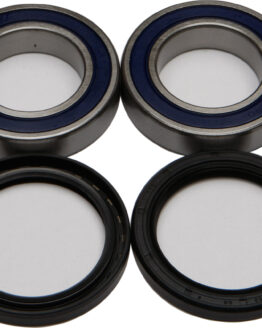 Wheel Bearing & Seal Kit