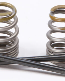 Steel Exhaust Valve/Spring Kit