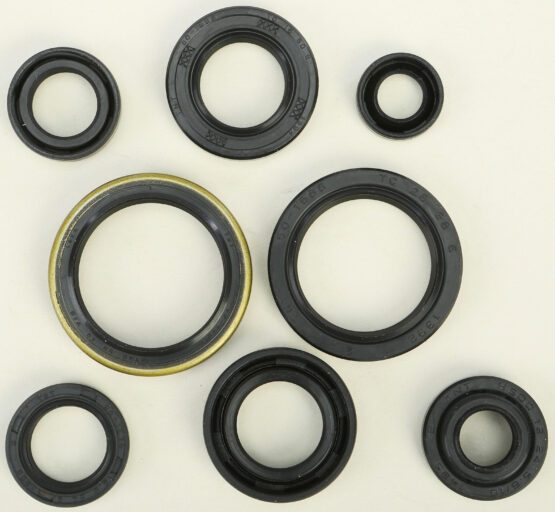 Oil Seal Kit