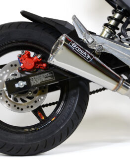 Alien Head 2 Polished Full Exhaust