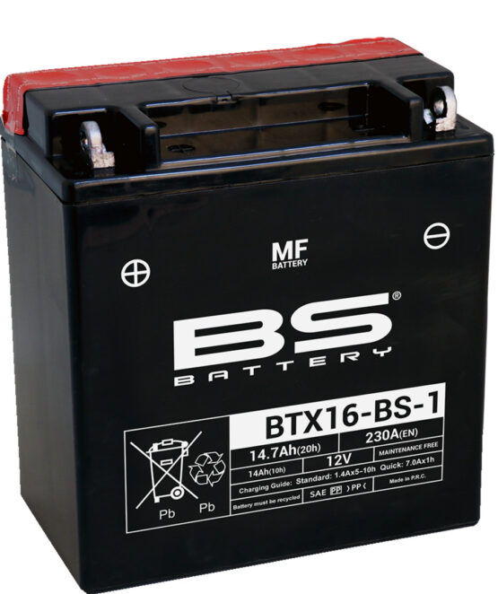 Maintenance Free Sealed Battery