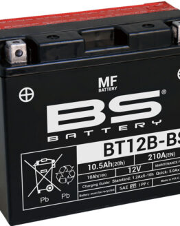 Maintenance Free Sealed Battery