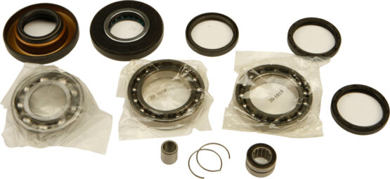 Differential Bearing & Seal Kit