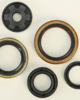 Vertex Oil Seal Kit Fits 2021-2023 Gas-Gas MC 50