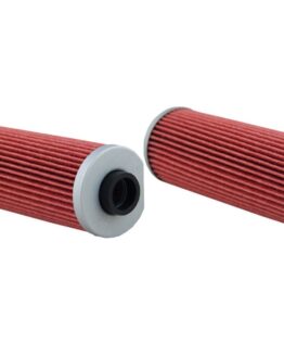 HF161 Oil Filter - 2 Pack