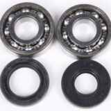 Crankshaft Bearing & Seal Kit