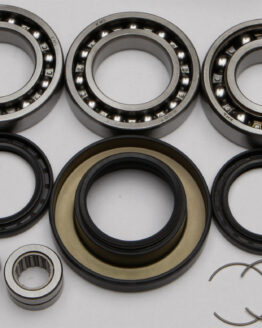 Rear Differential Bearing & Seal Kit