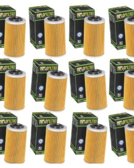 HF556 Oil Filter - 12 Pack